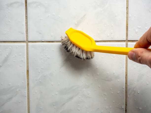  Brighton, MI Mold Removal Pros
