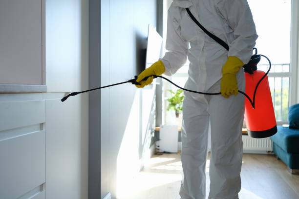 Best Professional Mold Removal  in Brighton, MI