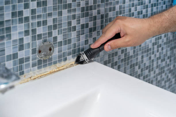 Best Office Mold Removal Services  in Brighton, MI
