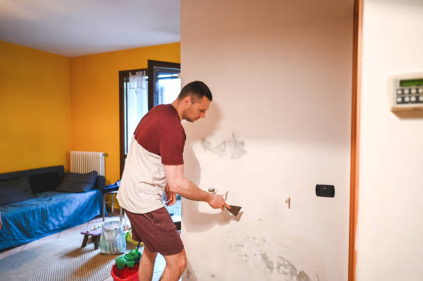 Certified Mold Removal in Brighton, MI